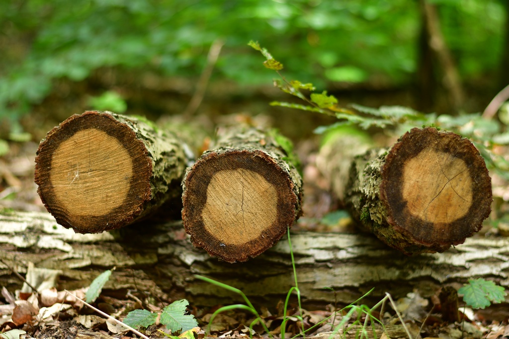 2020-08-23 Fürstenberg/DSC_5175.JPG